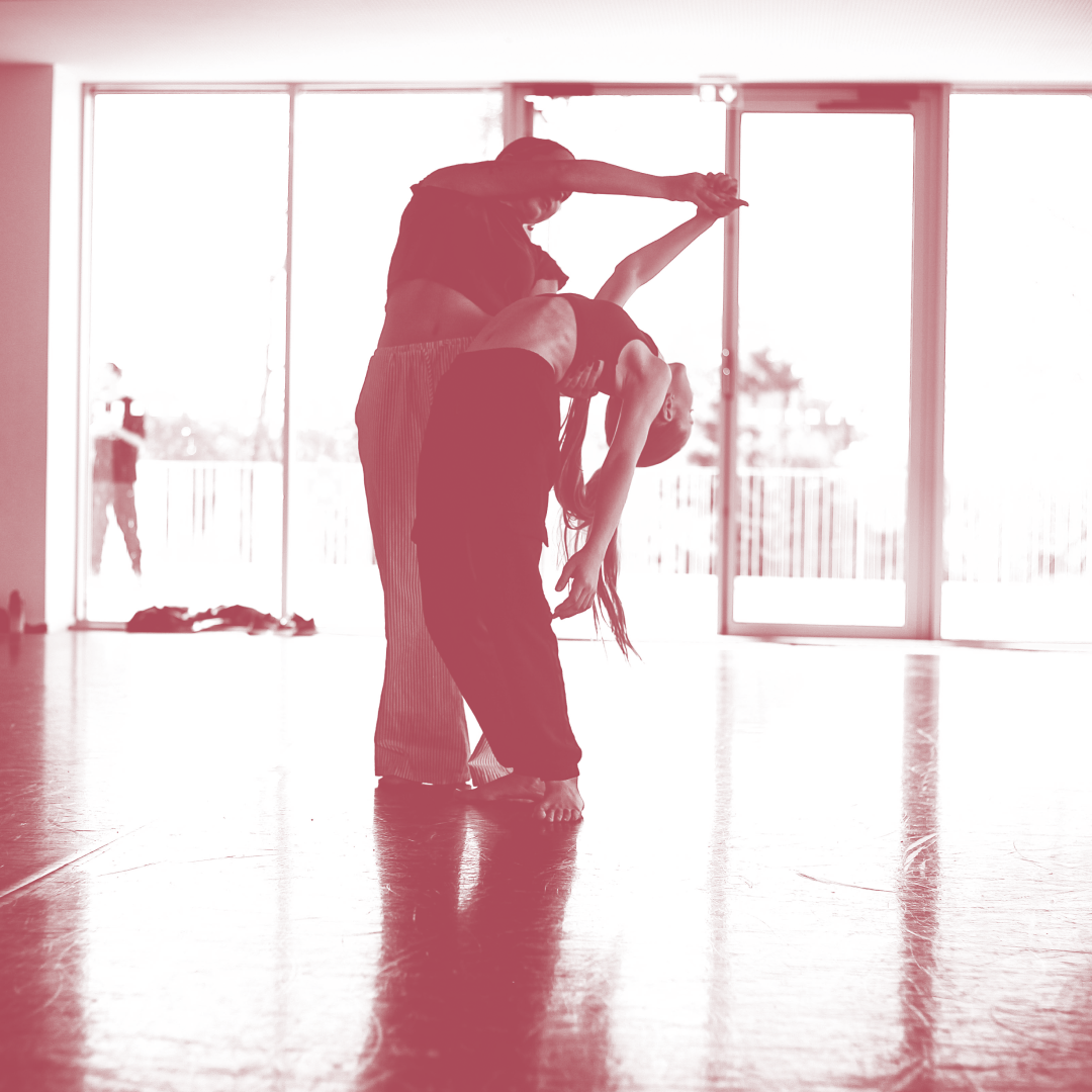 PASS cours du soir - 1 cours